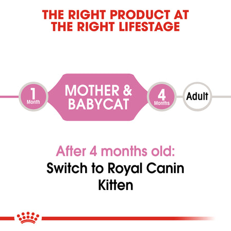 ROYAL CANIN® Mother And Babycat Adult And Kitten Wet Cat Food