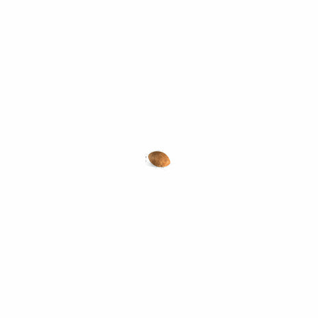 ROYAL CANIN® Persian Adult Dry Cat Food