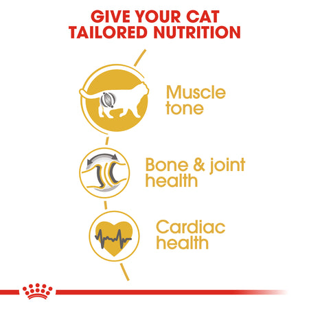 ROYAL CANIN® British Shorthair Adult Dry Cat Food