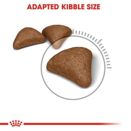 ROYAL CANIN® Hairball Care Adult Dry Cat Food