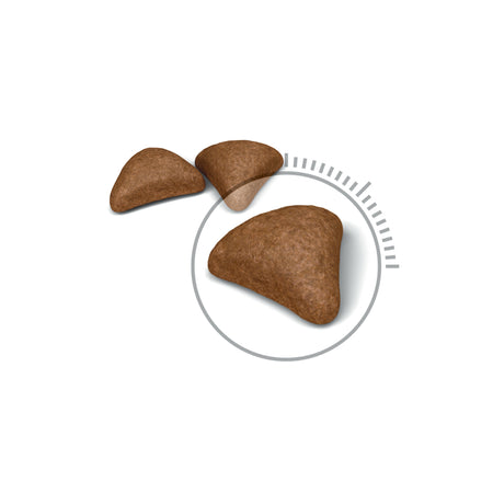 ROYAL CANIN® Hairball Care Adult Dry Cat Food