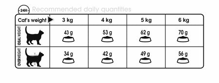 ROYAL CANIN® Digestive Care Adult Dry Cat Food