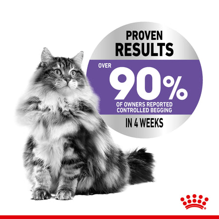 Royal Canin Appetite Control Care Dry Cat Food