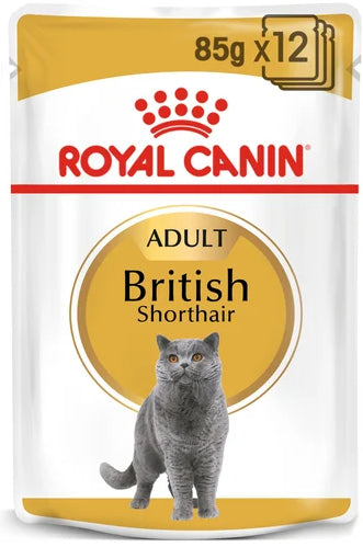 Royal canin 2024 british kitten