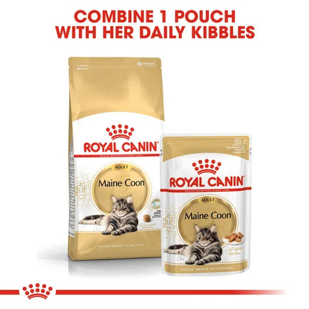 ROYAL CANIN Maine Coon Adult In Gravy Wet Cat Food