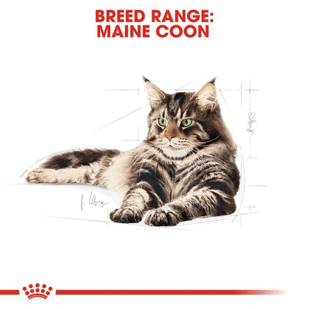 ROYAL CANIN Maine Coon Adult In Gravy Wet Cat Food