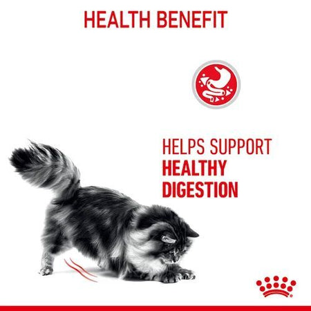 ROYAL CANIN Digestive Care In Gravy Adult Wet Cat Food