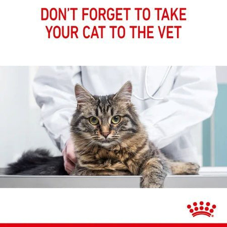 ROYAL CANIN® Dental Care Adult Dry Cat Food