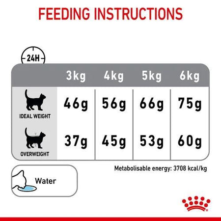 ROYAL CANIN® Dental Care Adult Dry Cat Food