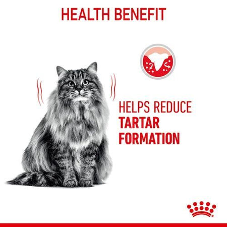 ROYAL CANIN® Dental Care Adult Dry Cat Food