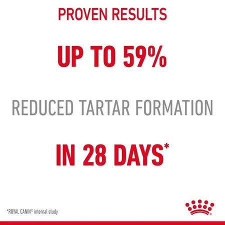 ROYAL CANIN® Dental Care Adult Dry Cat Food