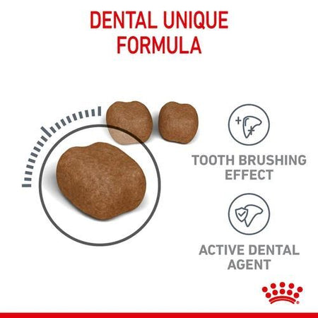 ROYAL CANIN® Dental Care Adult Dry Cat Food