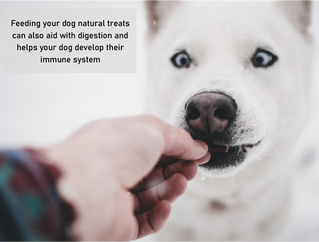 100% Natural Dog Treat Box: The PORKY BOX