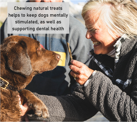 100% Natural Dog Treat Box: The BEEFY BOX