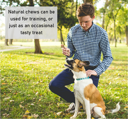 100% Natural Dog Treat Box: The BEEFY BOX