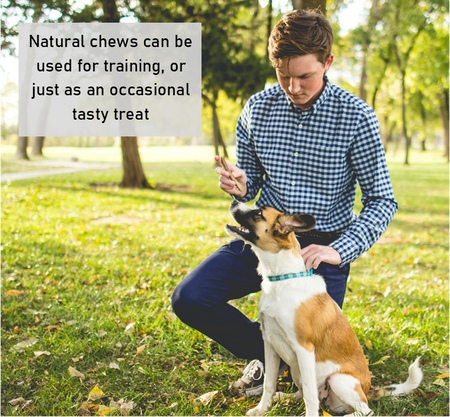 Split Antler Dog Chews Extra Large (Weight 113 - 175g)