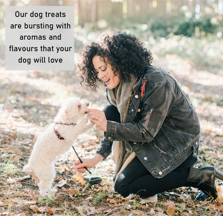 Mini Toothbrushes Vegetarian Dog Treats