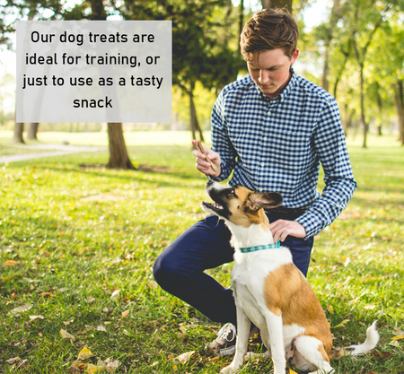 Mini Toothbrushes Vegetarian Dog Treats