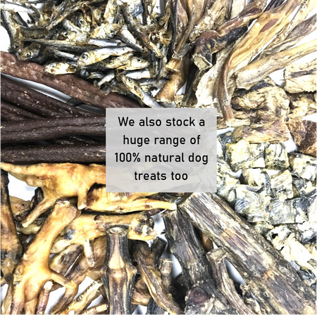 Large Star Sticks Vegetarian Dog Treats