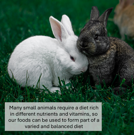 Chipmonk Rabbit Mix Johnson and Jeffs Squirrel and Chipmunk Mix sold by Maltbys’ Stores Eat ...