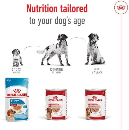 ROYAL CANIN® Medium Ageing 7+ in Loaf 410g Wet Dog Food in Cans