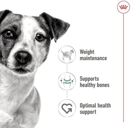 ROYAL CANIN® Mini Adult in Loaf 195g Wet Dog Food in Cans
