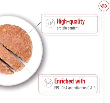 ROYAL CANIN® Medium Ageing 7+ in Loaf 410g Wet Dog Food in Cans