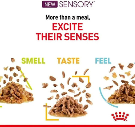 Royal Canin Sensory Mixed Pack Adult Wet Cat Food in Gravy (Mixed Pack of Taste, Smell & Feel)