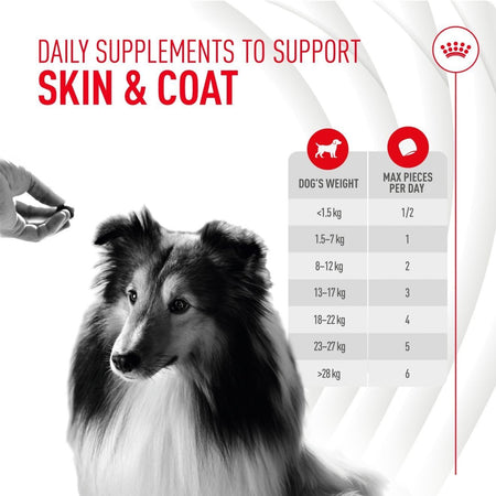 Royal Canin Dog Supplement for Skin & Coat Soft Chews 240g