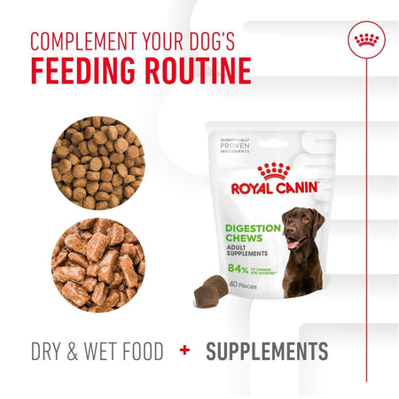 Royal Canin Adult Dog Supplement for Digestion Soft Chews 160g