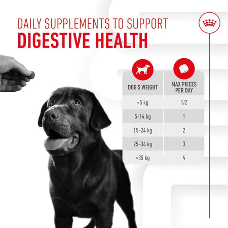 Royal Canin Adult Dog Supplement for Digestion Soft Chews 160g