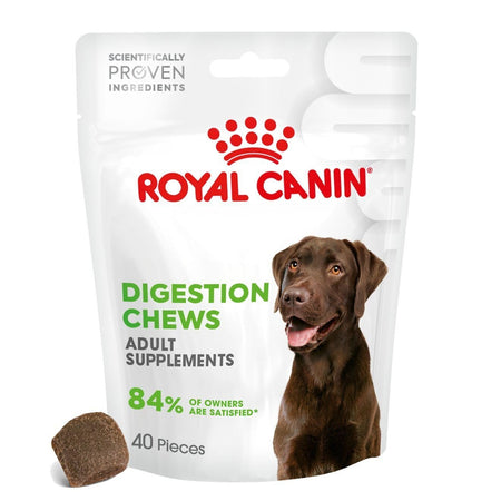 Royal Canin Adult Dog Supplement for Digestion Soft Chews 160g