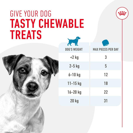 Royal Canin Dog Treats for Training 110g Puppy & Adult Supplement