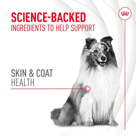 Royal Canin Dog Supplement for Skin & Coat Soft Chews 240g