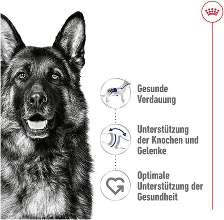 ROYAL CANIN® Maxi Ageing 5+ in Loaf 410g Wet Dog Food in Cans