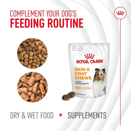 Royal Canin Dog Supplement for Skin & Coat Soft Chews 240g