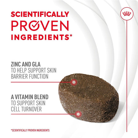 Royal Canin Dog Supplement for Skin & Coat Soft Chews 240g