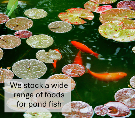 Pond Flake Fish Food