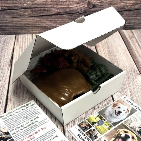 Mini Dog Treat Box: The VEGGIE BOX