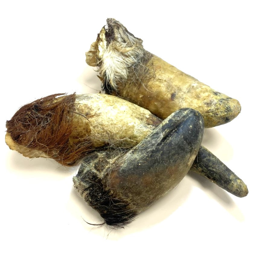 Maltbys’ Stores Est 1904 Ltd Beef Testicles – Maltbys' Stores