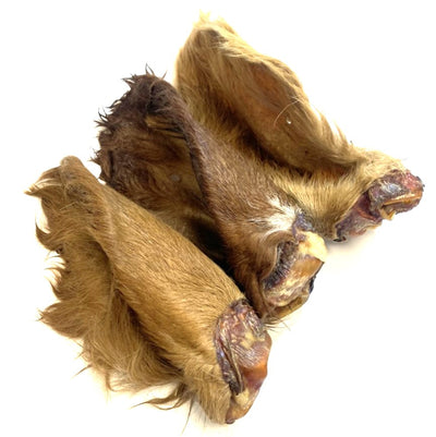 Cows Ears with Fur