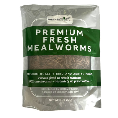 Fresh Mealworms Wild Bird Food (More Nutritious than Dried)