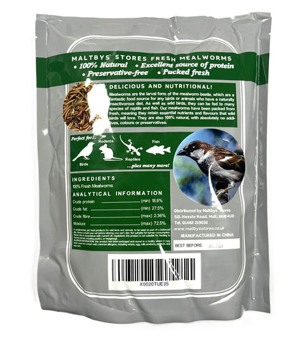 Fresh Mealworms Wild Bird Food (More Nutritious than Dried)