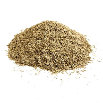Front Lawn Grass Seed (HM2)