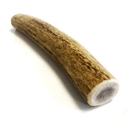 Antler Dog Chew Medium (Weight 75 - 149g)