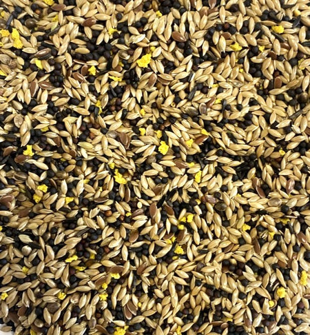 Favourite Mixed Canary Seed