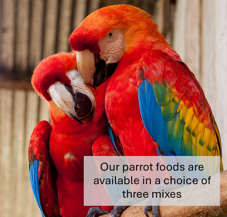 Premium Fruity Parrot Food