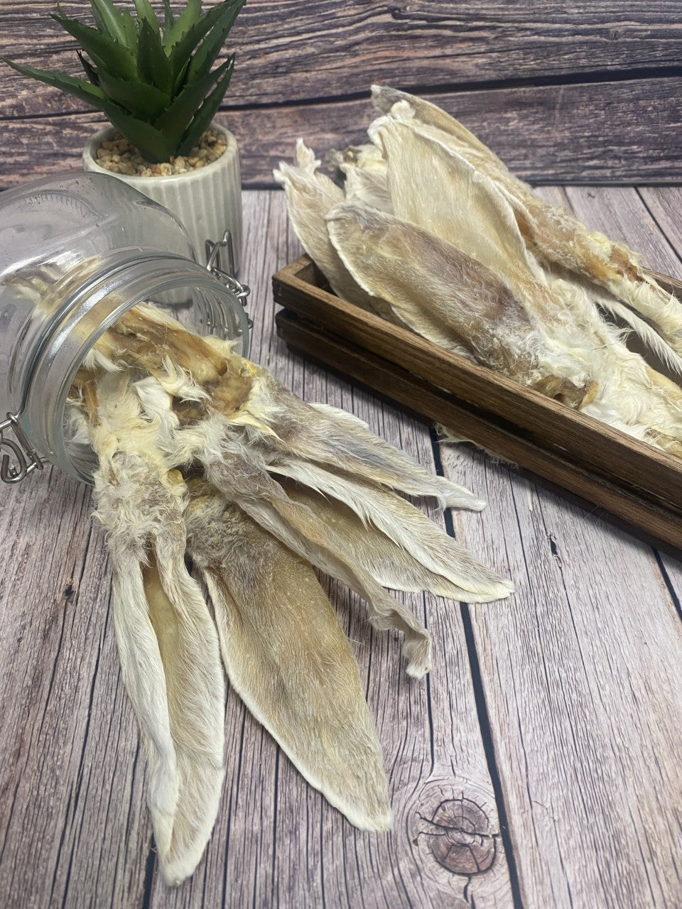 Rabbit Skin Sold by Maltbys' Stores