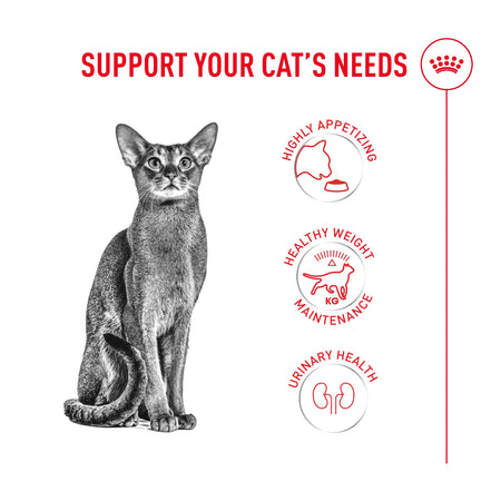 ROYAL CANIN® Fussy Adult Dry Cat Food