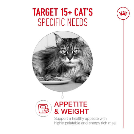 ROYAL CANIN® Ageing 15+ Dry Cat Food